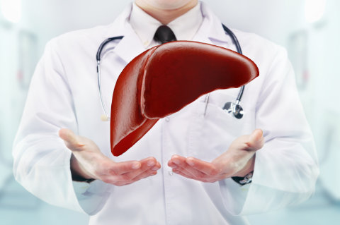 Liver Support