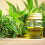 CBD Hemp Oil