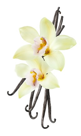 Natural Vanilla Natural Vanilla