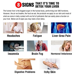 Clinical LiverSupport - 8 signs that it's time to detox your liver