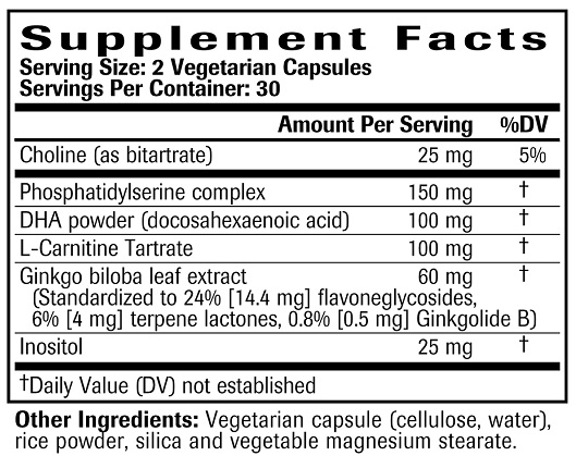 Brain Support Ingredients