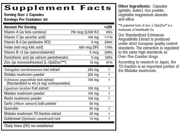 Immune System Support Ingredients