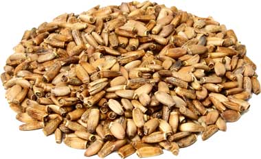 Milk thistle seeds