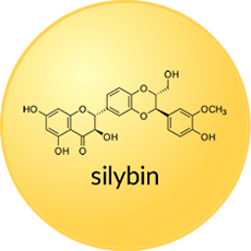 silybin
