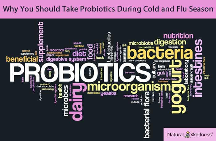 Why You Should Take Probiotics During Cold and Flu Season
