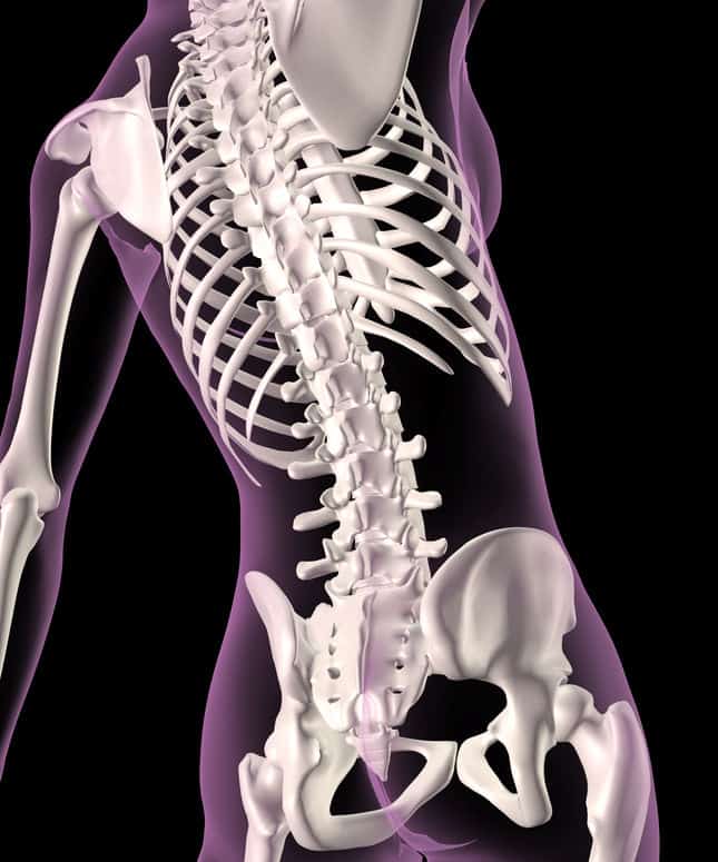 8 Tips for Having Healthy Bones