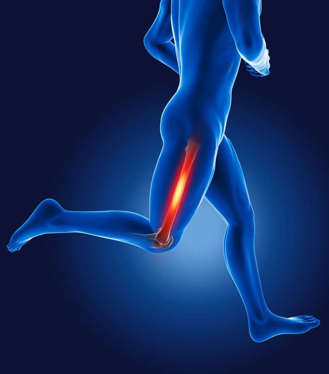 Did You Know? Longest Bone in the Body