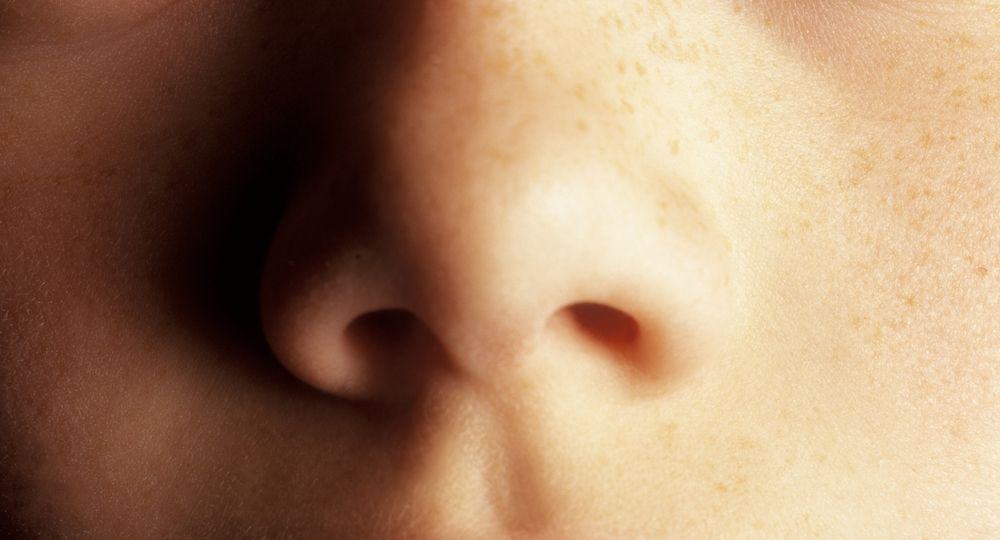 What Is the Purpose of a Philtrum?