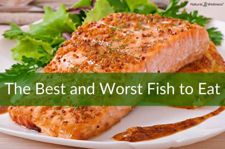 What Are the Best and Worst Fish to Eat