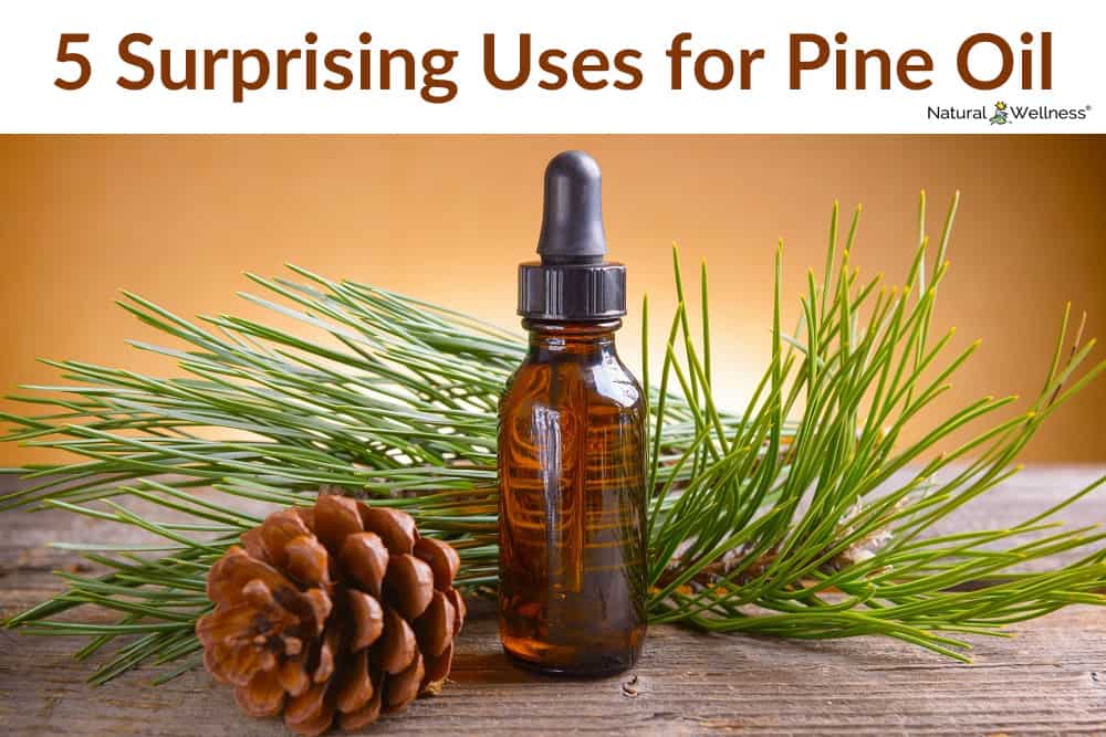 5 Surprising Uses for Pine Essential Oil