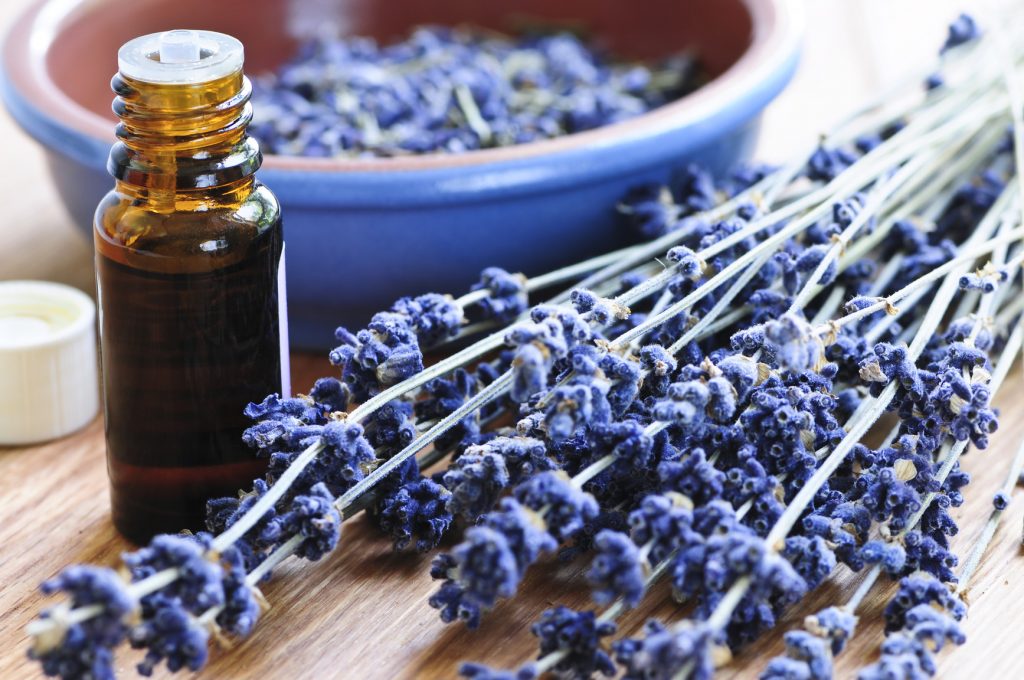 Using lavender can help calm symptoms of OCD.