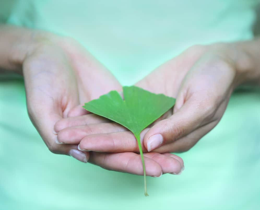 Ginko Biloba can help improve cognition.