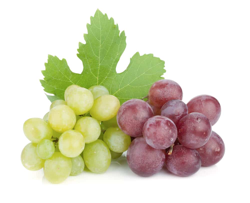 Red and white grapes are both used to make wine.