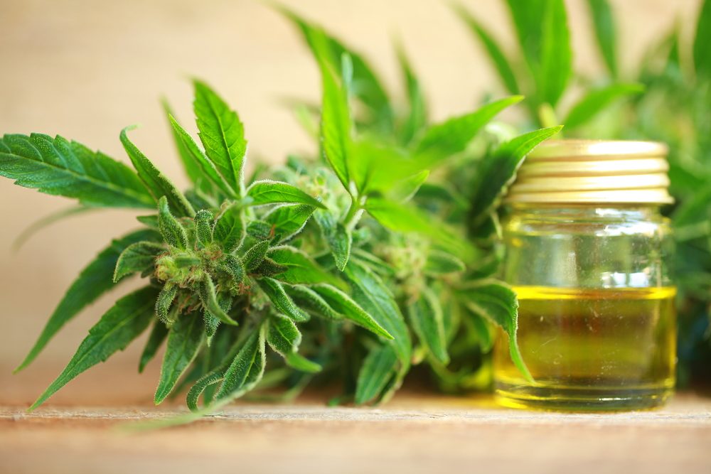 You’ll Love How CBD Oil Helps Your Heart