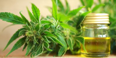You’ll Love How CBD Oil Helps Your Heart