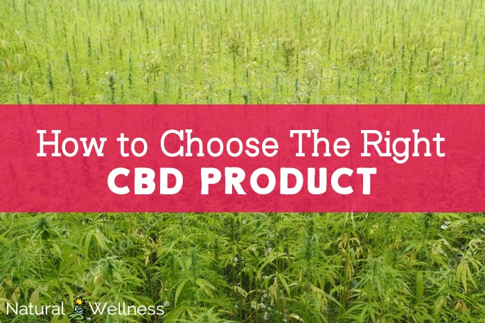 How to choose the right cbd product