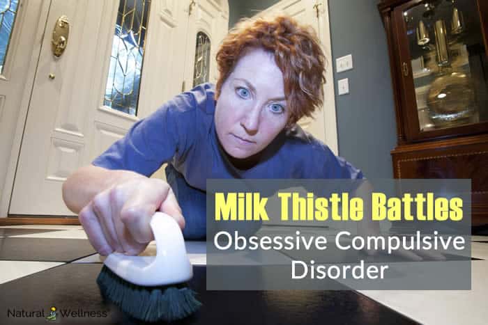 Milk Thistle Battles Obsessive Compulsive Disorder