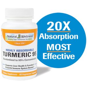 Natural Wellness's Turmeric 95