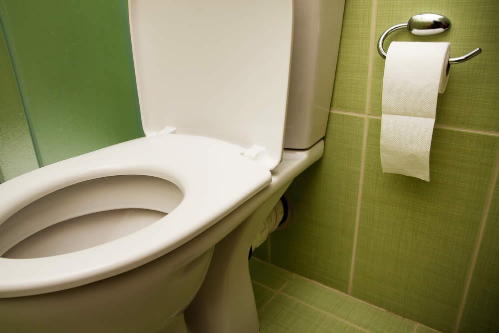 Will Taking Probiotics Make You Poop?