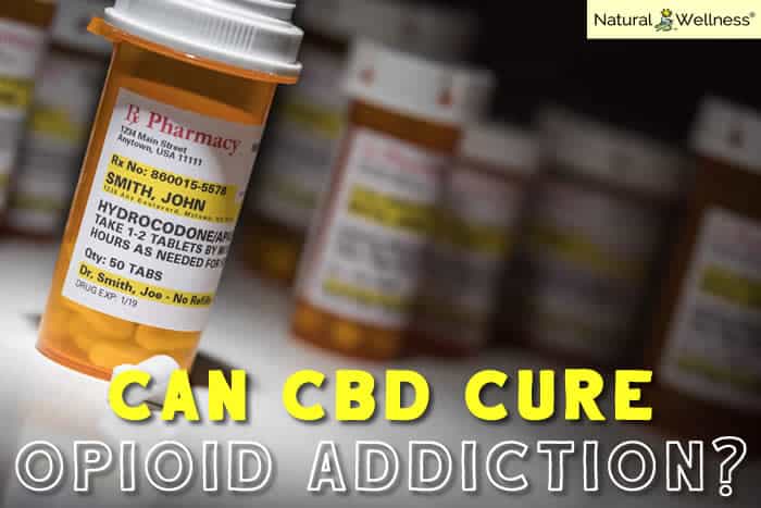Can CBD Cure Opioid Addiction?