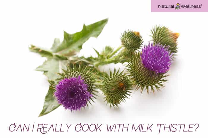 Can I Really Cook with Milk Thistle?