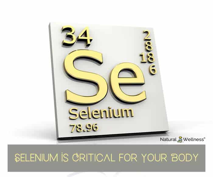 Selenium Is Critical for Your Body