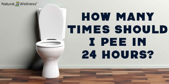 How Many Times Should I Pee in 24 Hours