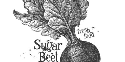 Food & Health Trends to Watch in 2020