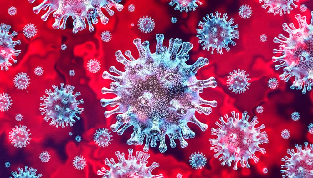 What You Need to Know About the Coronavirus