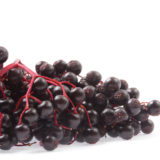 8 Fruits & Vegetables That Support Your Immune System