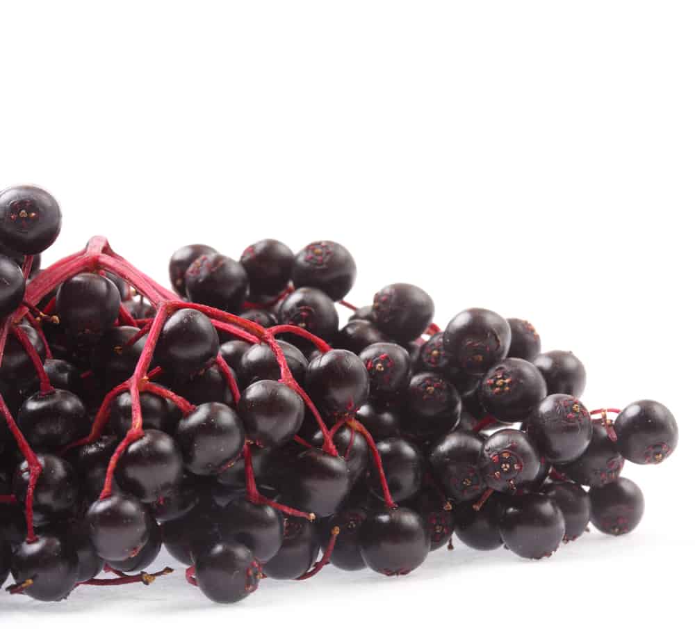 Elderberry can help your immune system.