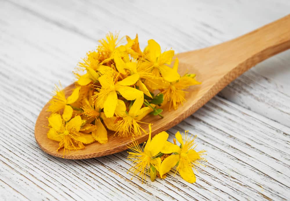 St. John's Wort can help fight depression and boost your mood.