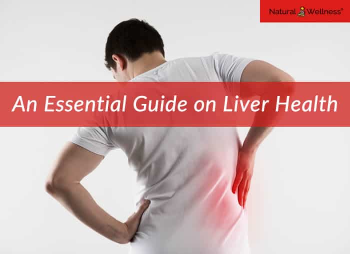 An Essential Guide on Liver Health
