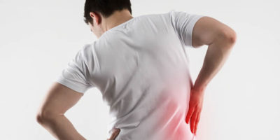 An Essential Guide on Liver Health