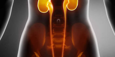 How to Support Bladder Health