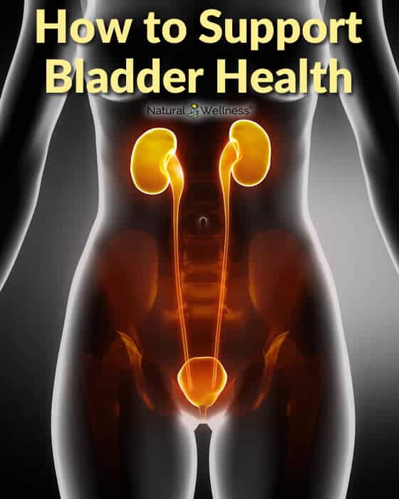 How to Support Bladder Health
