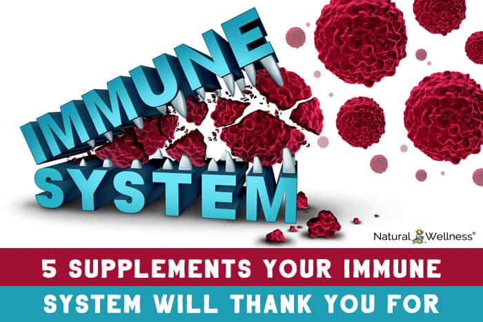 5 Supplements Your Immune System Will Thank You For