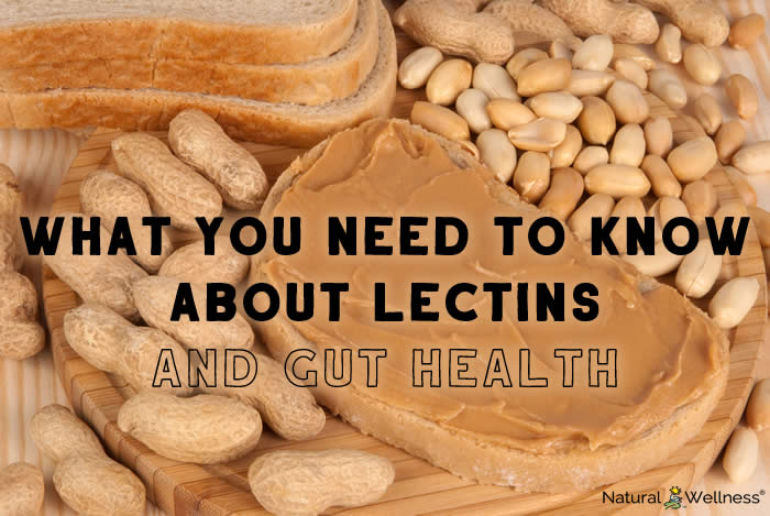 What You Need to Know About Lectins and Gut Health