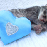 3 Sleep Habits That Affect Your Heart 3 Sleep Habits That Affect Your Heart