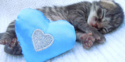 3 Sleep Habits That Affect Your Heart