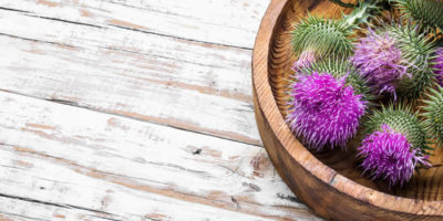 Is There a Reason Your Milk Thistle Isn’t Working?