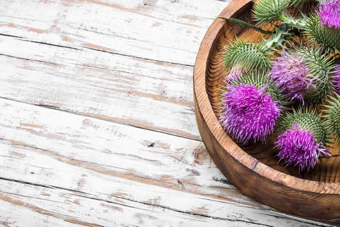 Is There a Reason Your Milk Thistle Isn't Working?