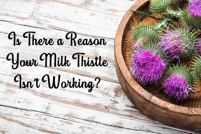 Is There a Reason Your Milk Thistle Isn't Working?