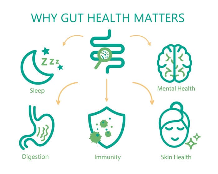 Bacteria can impact our health in many ways.