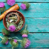 Milk Thistle Benefits