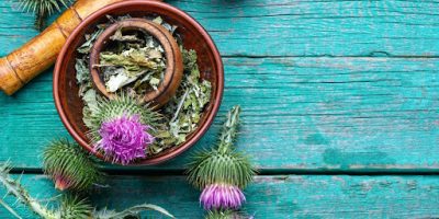 What Does Milk Thistle Do for Your Liver and Why It Matters More Than You Think