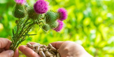 Can Milk Thistle Support Healthy Liver Function Naturally?