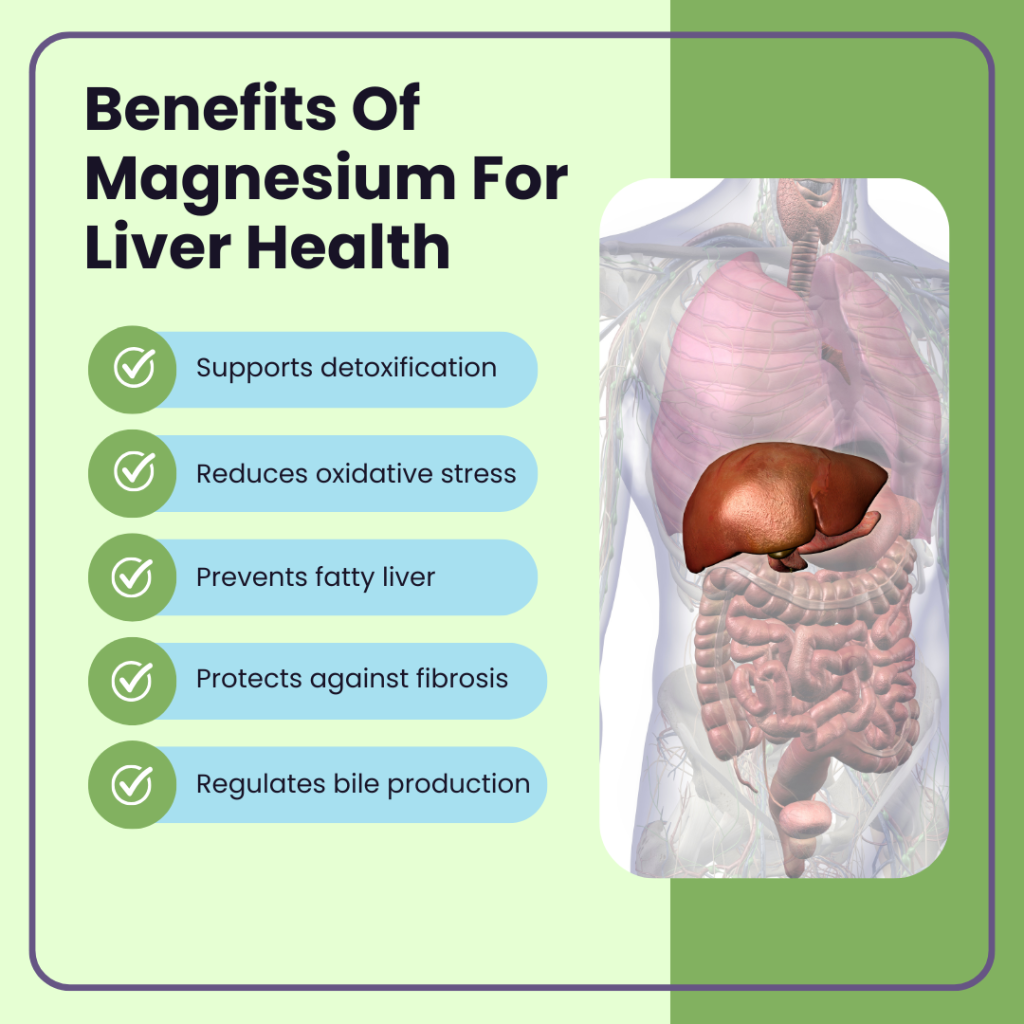 Benefits of magnesium for liver health including detoxification, reduced oxidative stress, and bile production support